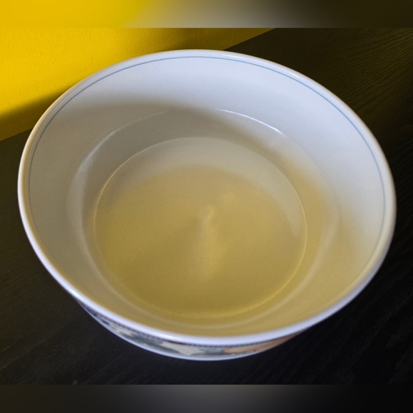 Mikasa Salad Serving Bowl Intaglio Garden Harvest CAC29 Ceramic 10 In Vintage. - Picture 3 of 6